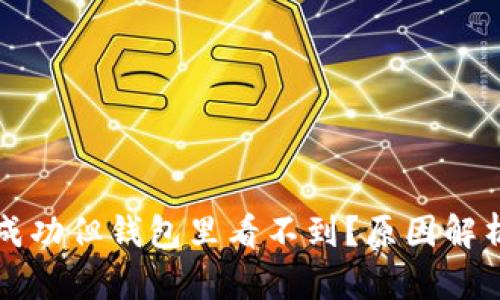 比特币提币成功但钱包里看不到?原因解析与解决方案