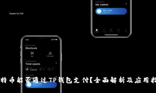 比特币能否通过TP钱包支付?全面解析及应用指南