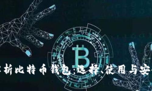 全面解析比特币钱包：选择、使用与安全策略