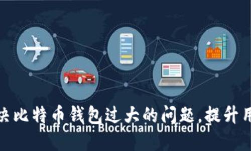 如何解决比特币钱包过大的问题,提升用户体验