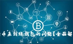 如何解决狗狗币未到账钱包的问题？全