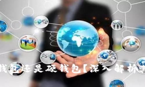 TP钱包是轻钱包还是硬钱包?深入解析其功能与特性