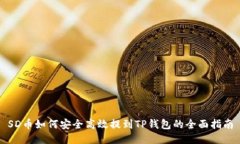SD币如何安全高效提到TP钱包的全面指