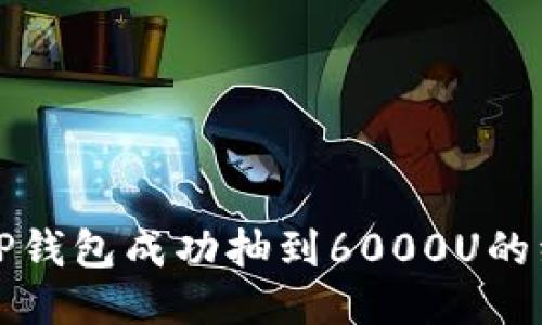 如何利用TP钱包成功抽到6000U的经验与技巧