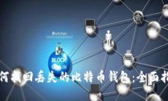 如何找回丢失的比特币钱包：全面指南
