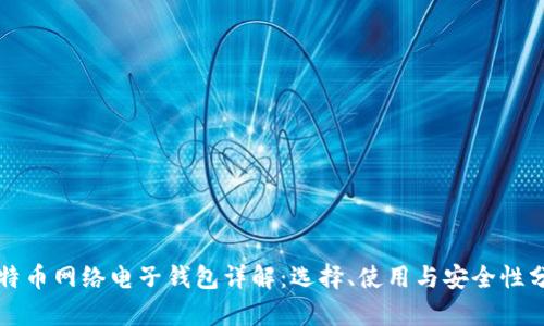 比特币网络电子钱包详解:选择、使用与安全性分析