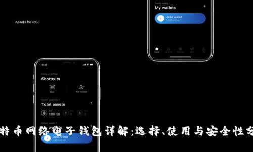 比特币网络电子钱包详解:选择、使用与安全性分析