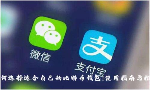 如何选择适合自己的比特币钱包:使用指南与推荐