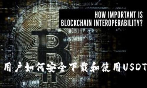 国内用户如何安全下载和使用USDT钱包