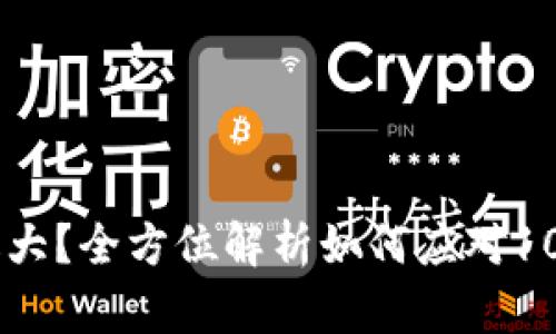 比特币钱包更新过大?全方位解析如何应对100多GB的下载问题