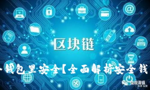 屎币存入哪个钱包里安全?全面解析安全钱包选择与管理