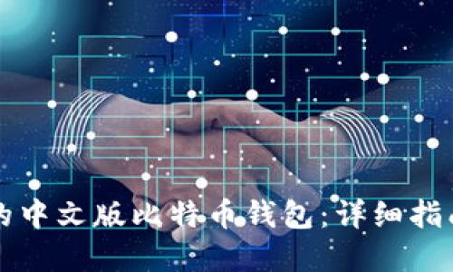 如何选择适合你的中文版比特币钱包:详细指南与比特钱包推荐