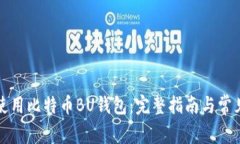 如何安全使用比特币BU钱包：完整指南