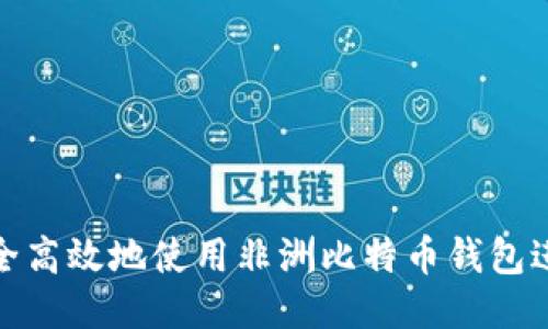 如何安全高效地使用非洲比特币钱包进行转账