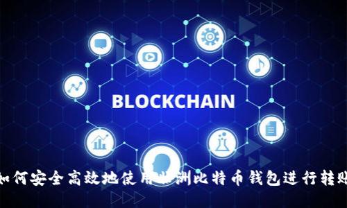 如何安全高效地使用非洲比特币钱包进行转账