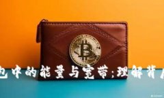 深入解析TP钱包中的能量与宽带：理解