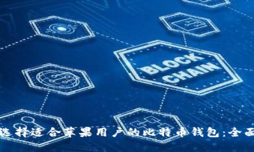 如何选择适合苹果用户的比特币钱包:全面指南