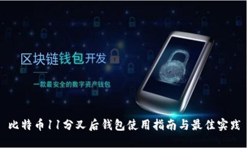 比特币11分叉后钱包使用指南与最佳实践