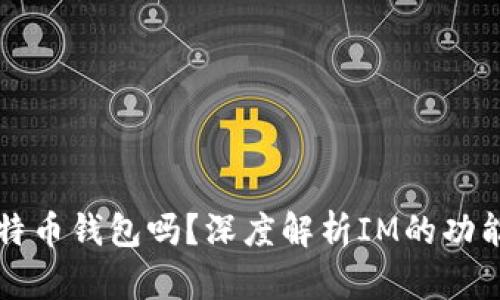 : IM是比特币钱包吗?深度解析IM的功能与安全性