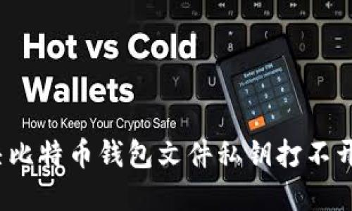 如何解决比特币钱包文件私钥打不开的问题?