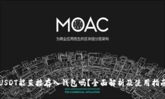 USDT能直接存入钱包吗？全面解析及使