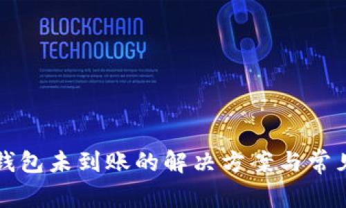 提币到TP钱包未到账的解决方案与常见问题解析