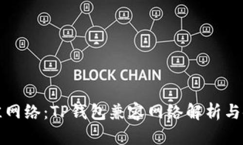选择最佳网络:TP钱包兼容网络解析与使用指南