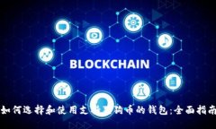 如何选择和使用支持狗狗币的钱包：全