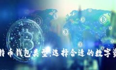 全面解析比特币钱包类型：选择合适的