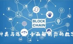比特币钱包的种类与选择：全面解析你