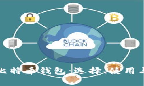 全面解析比特币钱包:选择、使用与安全策略