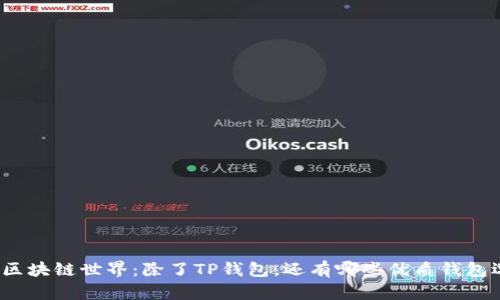 探索区块链世界：除了TP钱包，还有哪些优质钱包选择？