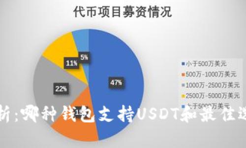 全面解析:哪种钱包支持USDT和最佳选择指南