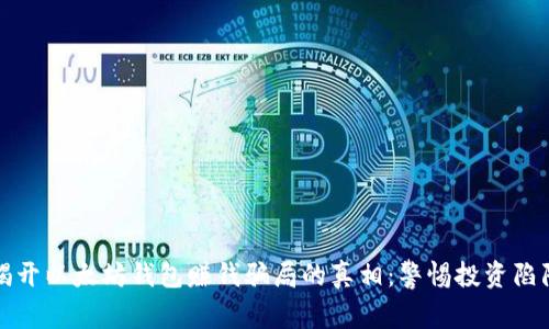 揭开以太坊钱包赚钱骗局的真相：警惕投资陷阱