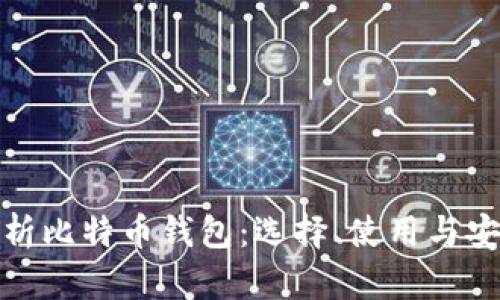 全面解析比特币钱包：选择、使用与安全策略