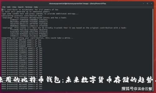 李笑来用的比特币钱包：未来数字货币存储的趋势与发展