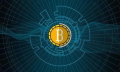 要在TP钱包中查看Token的详情，用户可以按照以下
