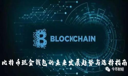 比特币现金钱包的未来发展趋势与选择指南