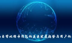 华为自带比特币钱包的未来发展趋势与