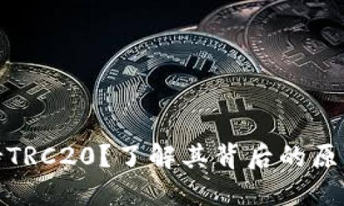 TP钱包为何不支持TRC20？了解其背后的原因与未来发展趋势