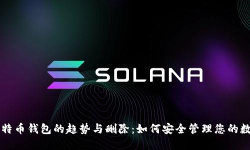 未来比特币钱包的趋势与删除：如何安全管理您的数字资产