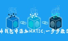 如何在货币钱包中添加MATIC：一步步教