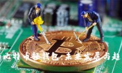 最早的比特币轻钱包：未来发展与趋势