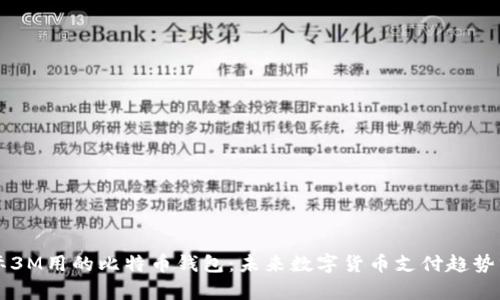 国际3M用的比特币钱包：未来数字货币支付趋势分析