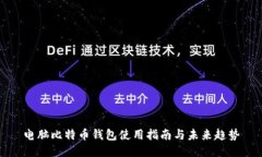 电脑比特币钱包使用指南与未来趋势