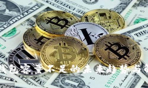 比特币钱包容量不足的未来趋势与解决方案