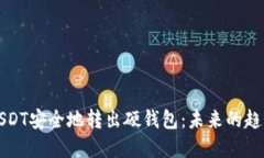 如何将USDT安全地转出硬钱包：未来的