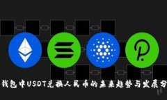 TP钱包中USDT兑换人民币的未来趋势与发