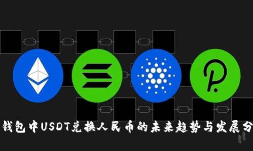 TP钱包中USDT兑换人民币的未来趋势与发展分析