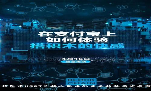 TP钱包中USDT兑换人民币的未来趋势与发展分析